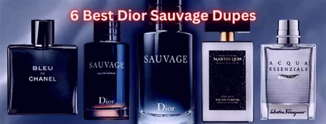 dior sauvage ähnlich|best Dior dupes.